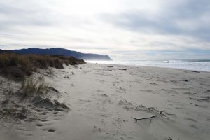 Private Beach Access on the Oregon Coast